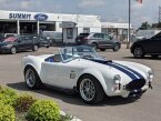 Thumbnail Photo undefined for 1996 Shelby Cobra